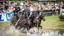 Zawody i piknik rodzinny w Baborówku