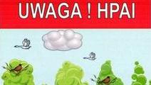 UWAGA – Wirus HPAI