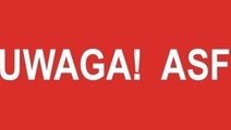 UWAGA – Wirus ASF