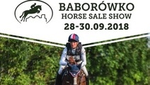 Baborówko Horse Sale Show