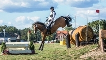 Baborówko Horse Sale Show 2019